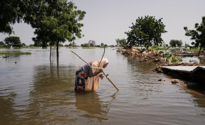 Africa: Kenya’s Environment CS Duale Urges Global North to Meet Africa’s .3 Trillion Climate Finance Target At COP29 Africa: Kenya’s Environment CS Duale Urges Global North to Meet Africa’s .3 Trillion Climate Finance Target At COP29