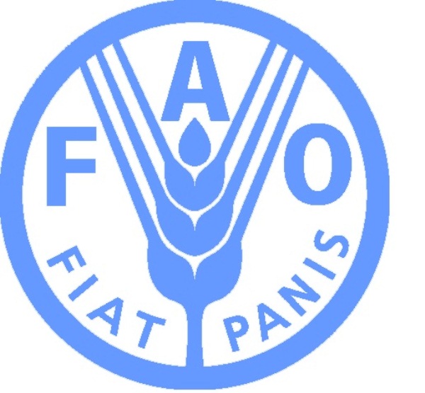 FAO celebrates IYAFA 2022 with dialogue on the generational challenge facing young people in artisanal fisheries and aquaculture FAO celebrates IYAFA 2022 with dialogue on the generational challenge facing young people in artisanal fisheries and aquaculture