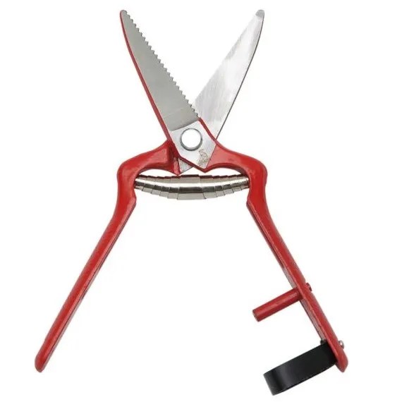 TIJERA VENDIMIAR UVA 19CM