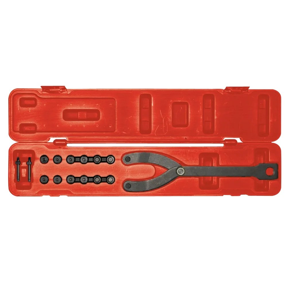 Jgo. Llave Pivote 1/2″ (Toyota) Piñones Intercambiables