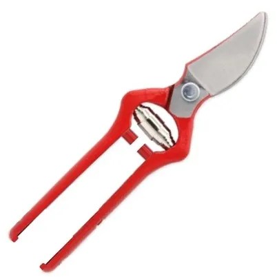 TIJERA DE PODAR DE 21 CMS. HOJA PULIDA
