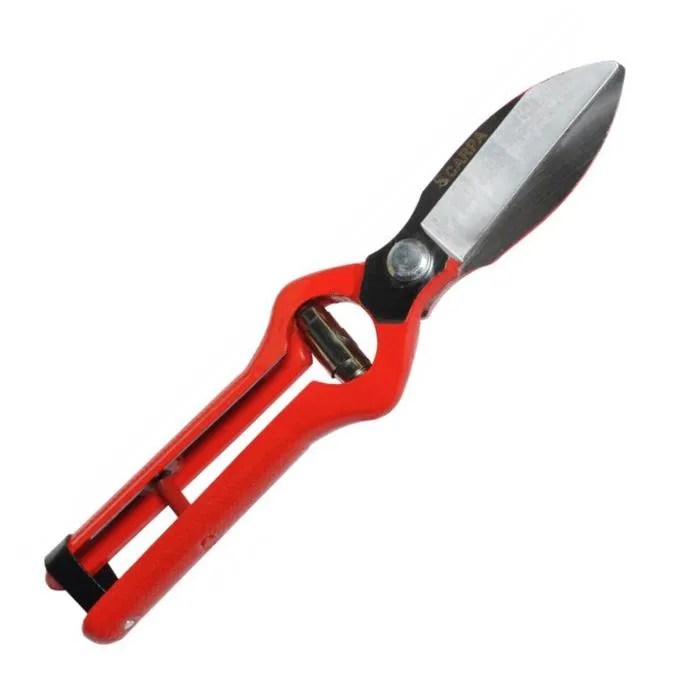 TIJERA DE COSECHAR AJOS DE 24 CM.,