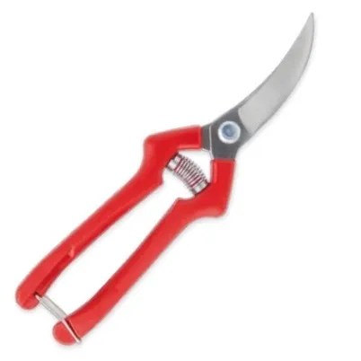 TIJERA DE COSECHAR AJOS DE 19 CM