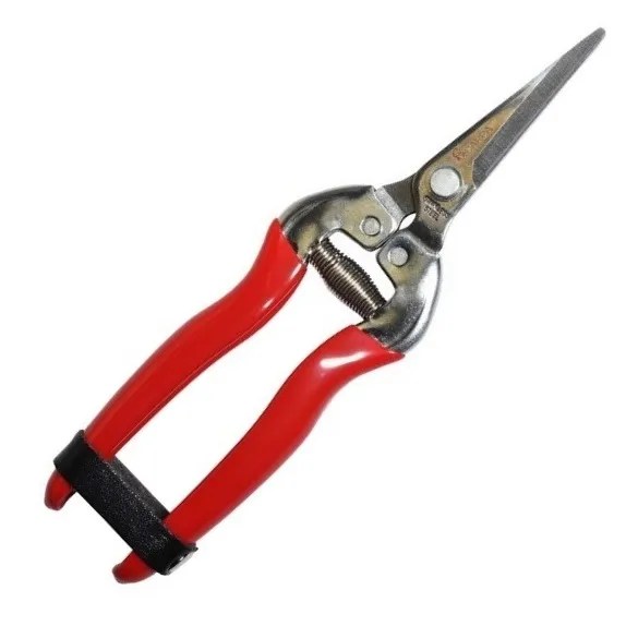 TIJERA PARA COSECHAR Y LIMPIAR RACIMOS RECTA DE 19 CM.,