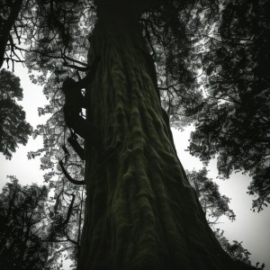 Mysterieuze Belevingen onder de Tibiti Brug Mysterieuze Belevingen onder de Tibiti Brug