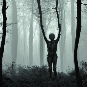 Ontmoeting met Bosgeesten: Een Onderzoeksexpeditie Onthult Oerwoudmysteries Ontmoeting met Bosgeesten: Een Onderzoeksexpeditie Onthult Oerwoudmysteries