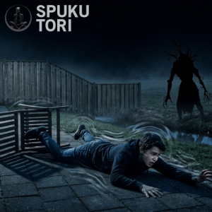 De Schaduw Achter de Tuin – Het weiland in Koog aan de Zaan De Schaduw Achter de Tuin – Het weiland in Koog aan de Zaan