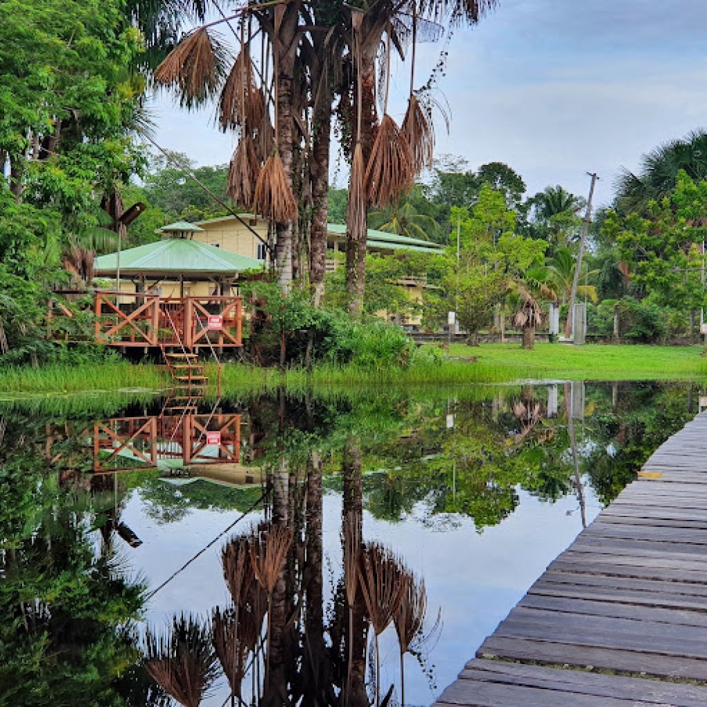 De Vlechten In Mijn Haar De Vlechten In Mijn Haar