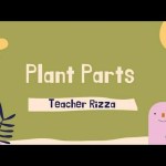 How do Plants Use their Body Parts? How do Plants Use their Body Parts?