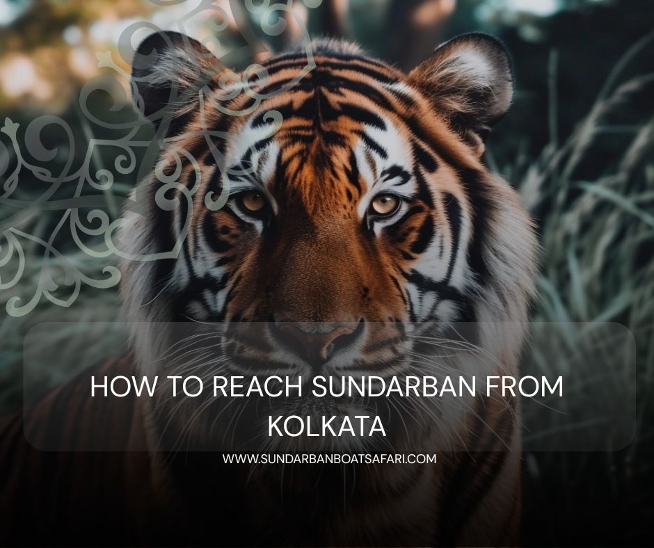 How to reach Sundarban from Kolkata How to reach Sundarban from Kolkata