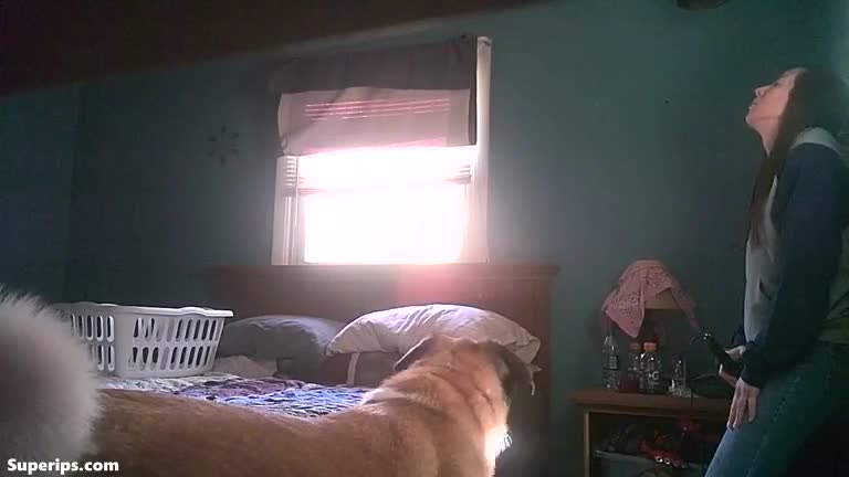 IPCAM – Young mom masturbates with her daughter’s vibrator IPCAM – Young mom masturbates with her daughter’s vibrator