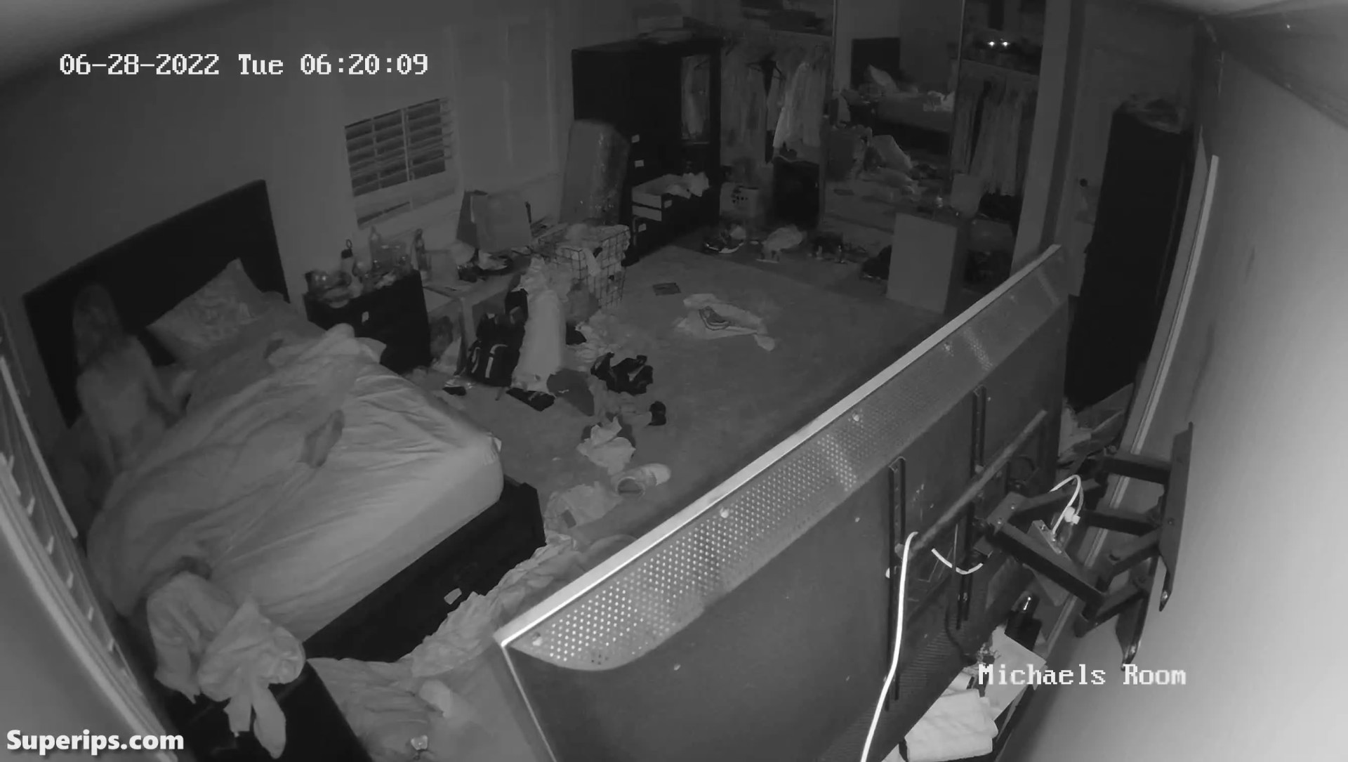 IPCAM – American cheerleader girl gets fucked hard IPCAM – American cheerleader girl gets fucked hard