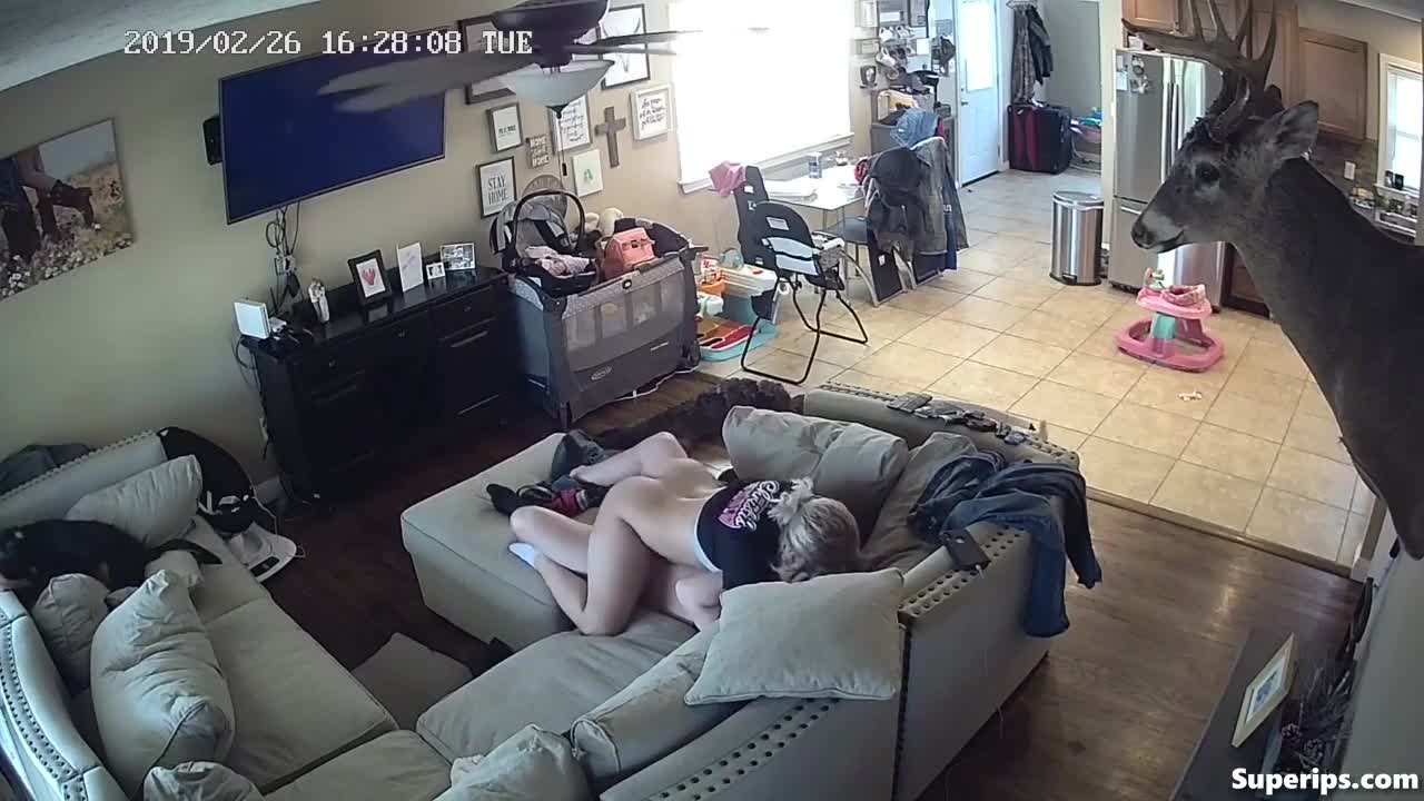 IPCAM – Teen American couple fucks at their parents’ house IPCAM – Teen American couple fucks at their parents’ house