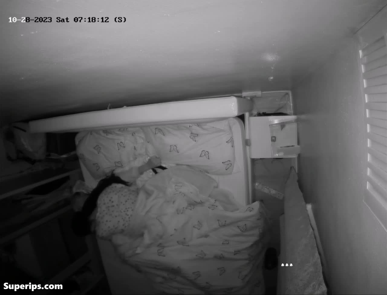 IPCAM – British lesbian teenage stepsisters fuck in their bed IPCAM – British lesbian teenage stepsisters fuck in their bed