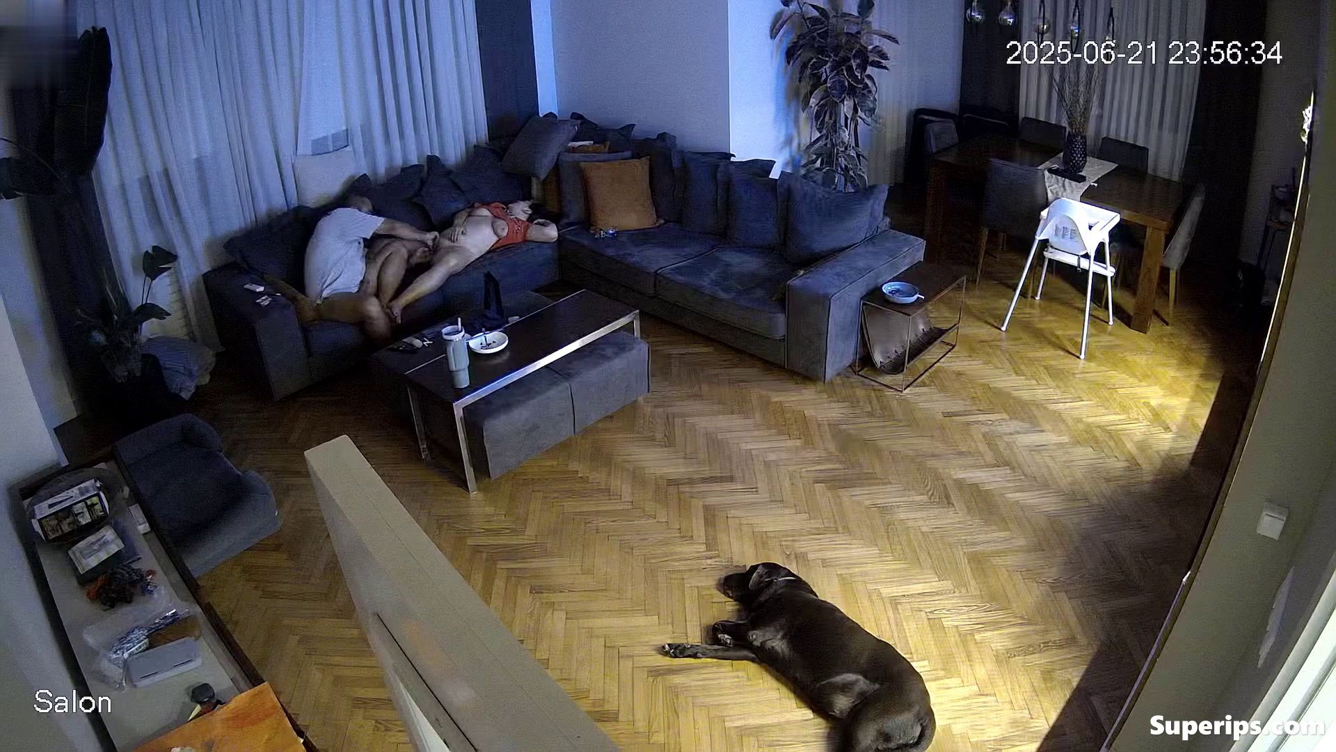 IPCAM – Chubby Arab wife gets fucked on the sofa IPCAM – Chubby Arab wife gets fucked on the sofa