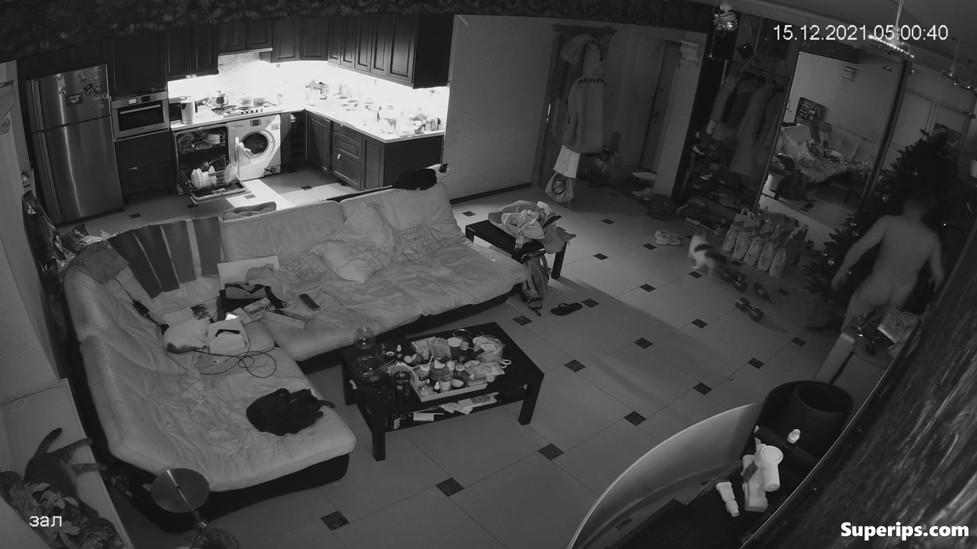 IPCAM – Drunk Russian woman gets fucked on the couch IPCAM – Drunk Russian woman gets fucked on the couch