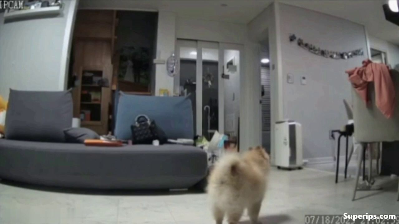 IPCAM – Mature Korean moms daily life compilation IPCAM – Mature Korean moms daily life compilation