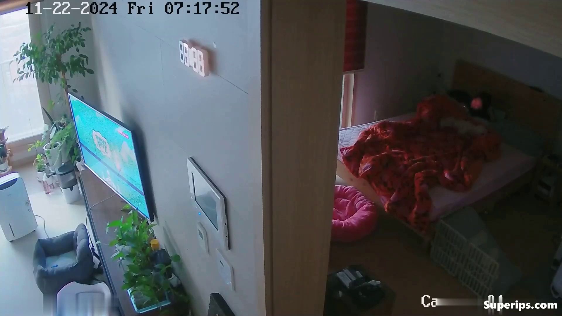 IPCAM – Collection of Korean couples having sex IPCAM – Collection of Korean couples having sex