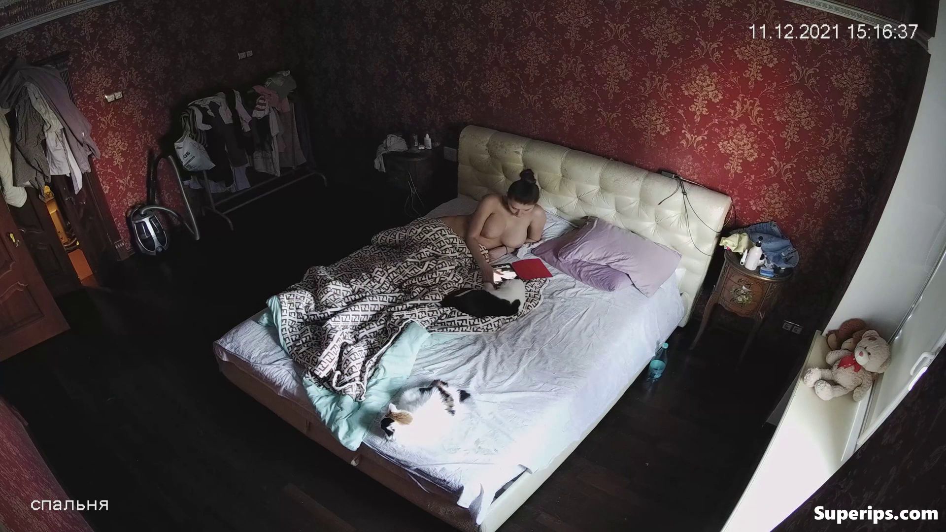 IPCAM – Busty Russian Milf gets fucked in her bed IPCAM – Busty Russian Milf gets fucked in her bed