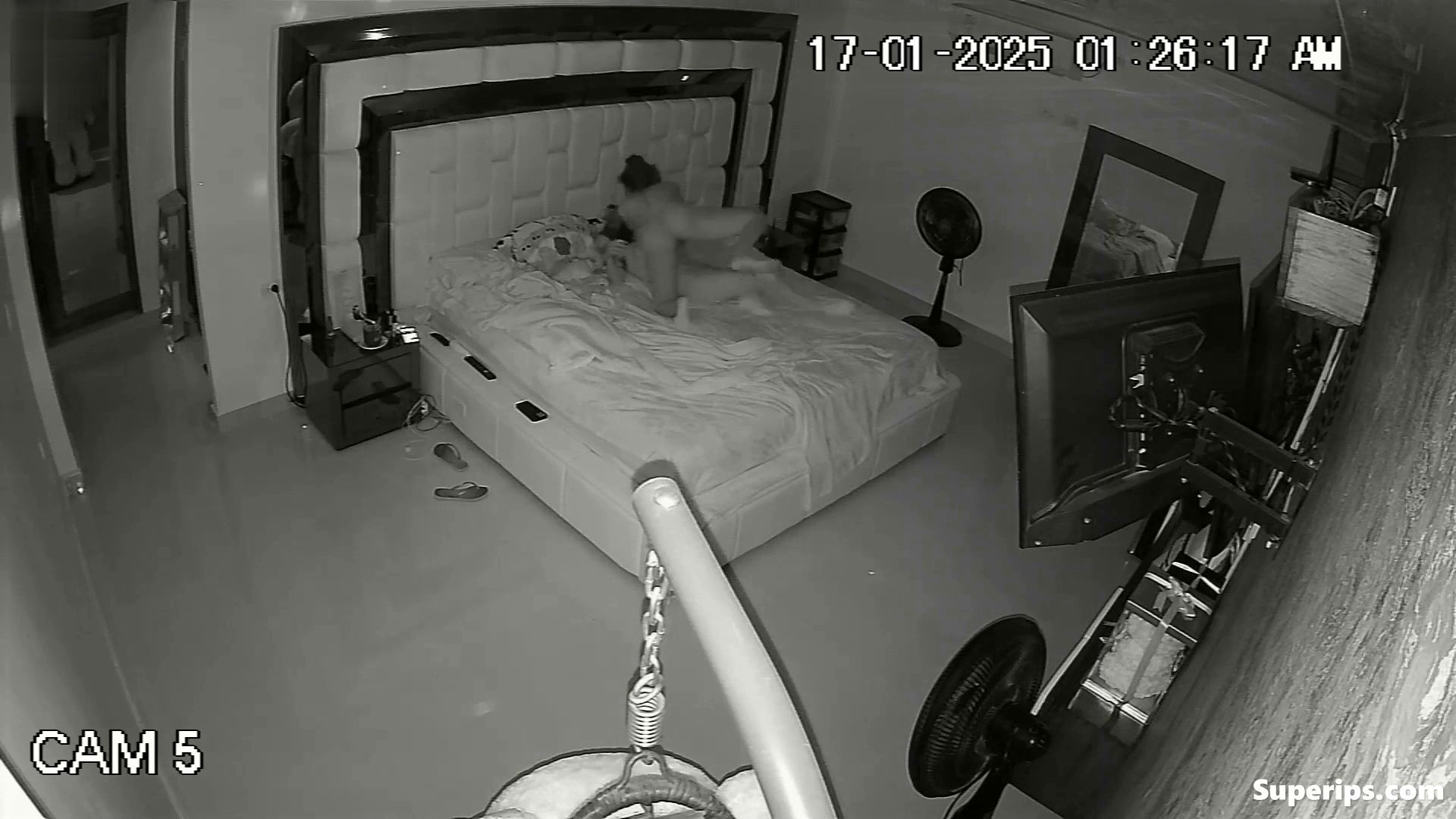 IPCAM – Young Latina lesbians have sex IPCAM – Young Latina lesbians have sex