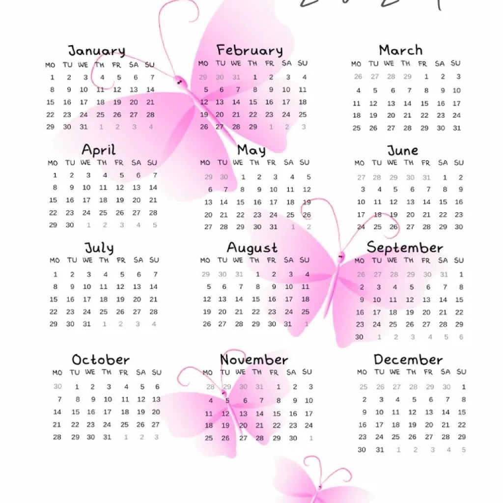 Butterfly In The (2024) Butterfly In The (2024)