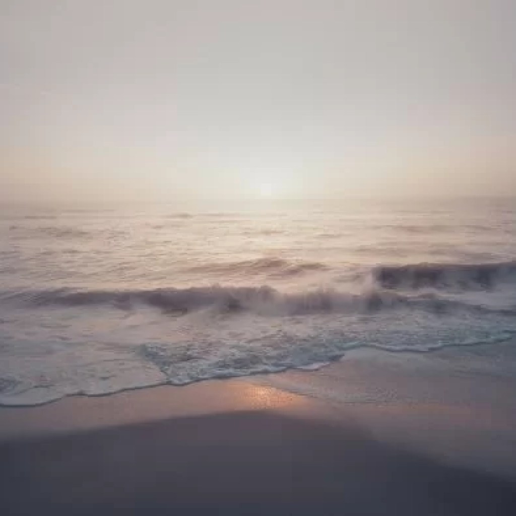 A Review Of "ChestnutDramaUtopiaLimited" (2024): A Poignant Exploration Of Memory, Loss, And The Pursuit Of Idealism A Review Of "ChestnutDramaUtopiaLimited" (2024): A Poignant Exploration Of Memory, Loss, And The Pursuit Of Idealism