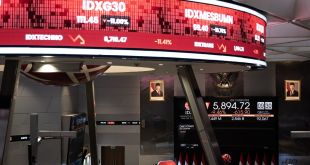 Respons terbaik saat terjadi trading halt dan rebound IHSG Respons terbaik saat terjadi trading halt dan rebound IHSG