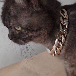 Pet Supplies 36 / 45cm Leichte Kunststoff goldene Kette Hund Halskette Pet Supplies 36 / 45cm Leichte Kunststoff goldene Kette Hund Halskette