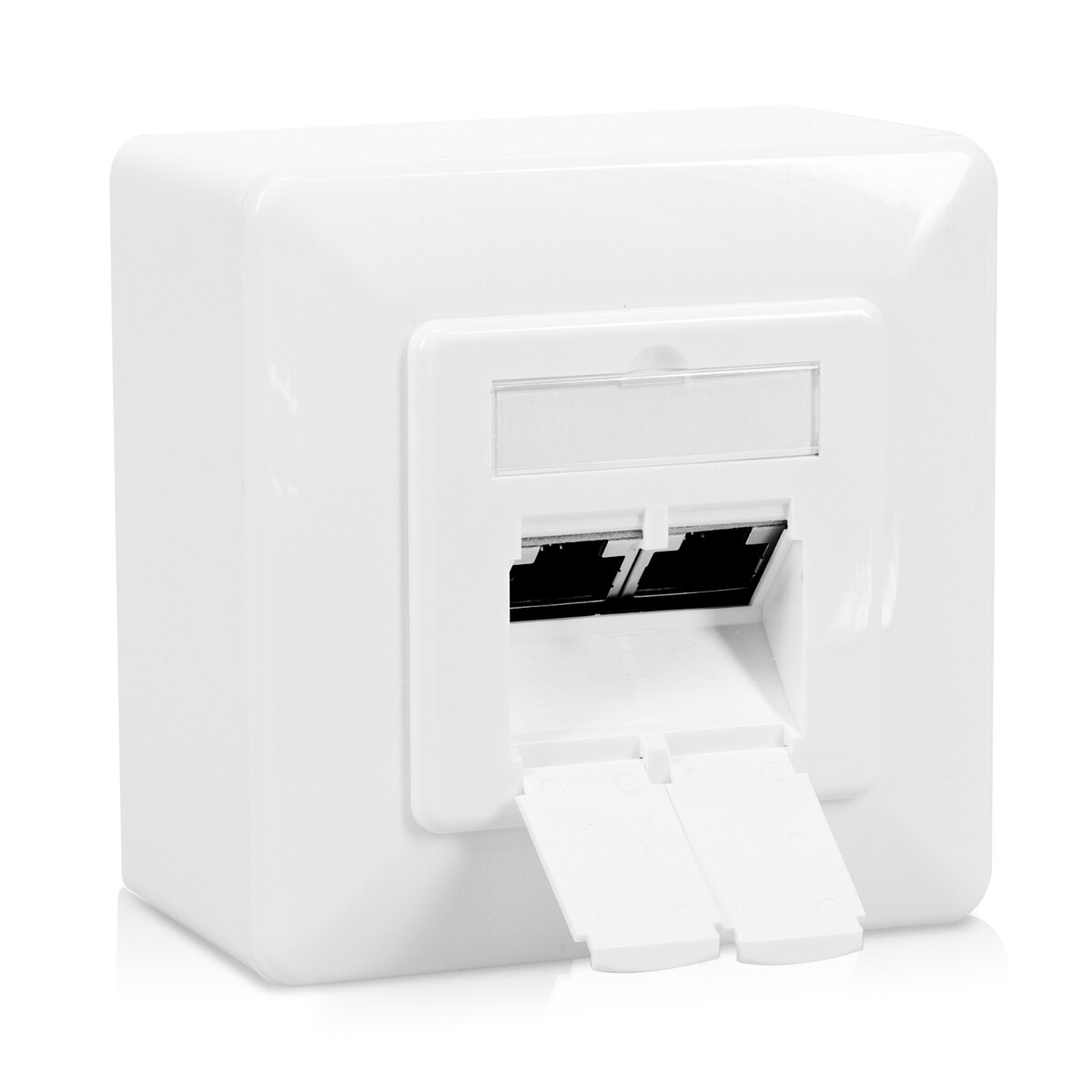 Double prise de réseau RJ45 blindée avec montage mural pour câbles CAT 6A Double prise de réseau RJ45 blindée avec montage mural pour câbles CAT 6A