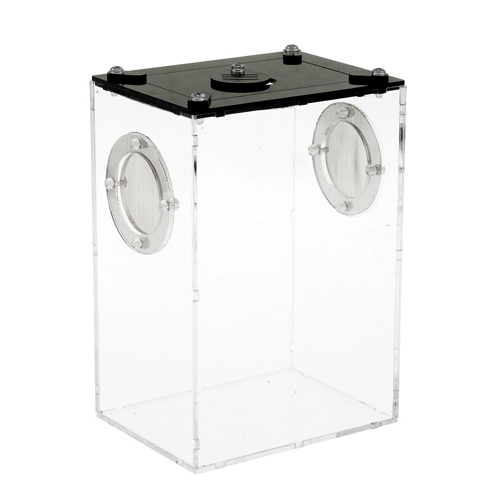 Boîte d’élevage de reptiles pour animaux de compagnie Lézards Araignées Boîte d’élevage de reptiles pour animaux de compagnie Lézards Araignées