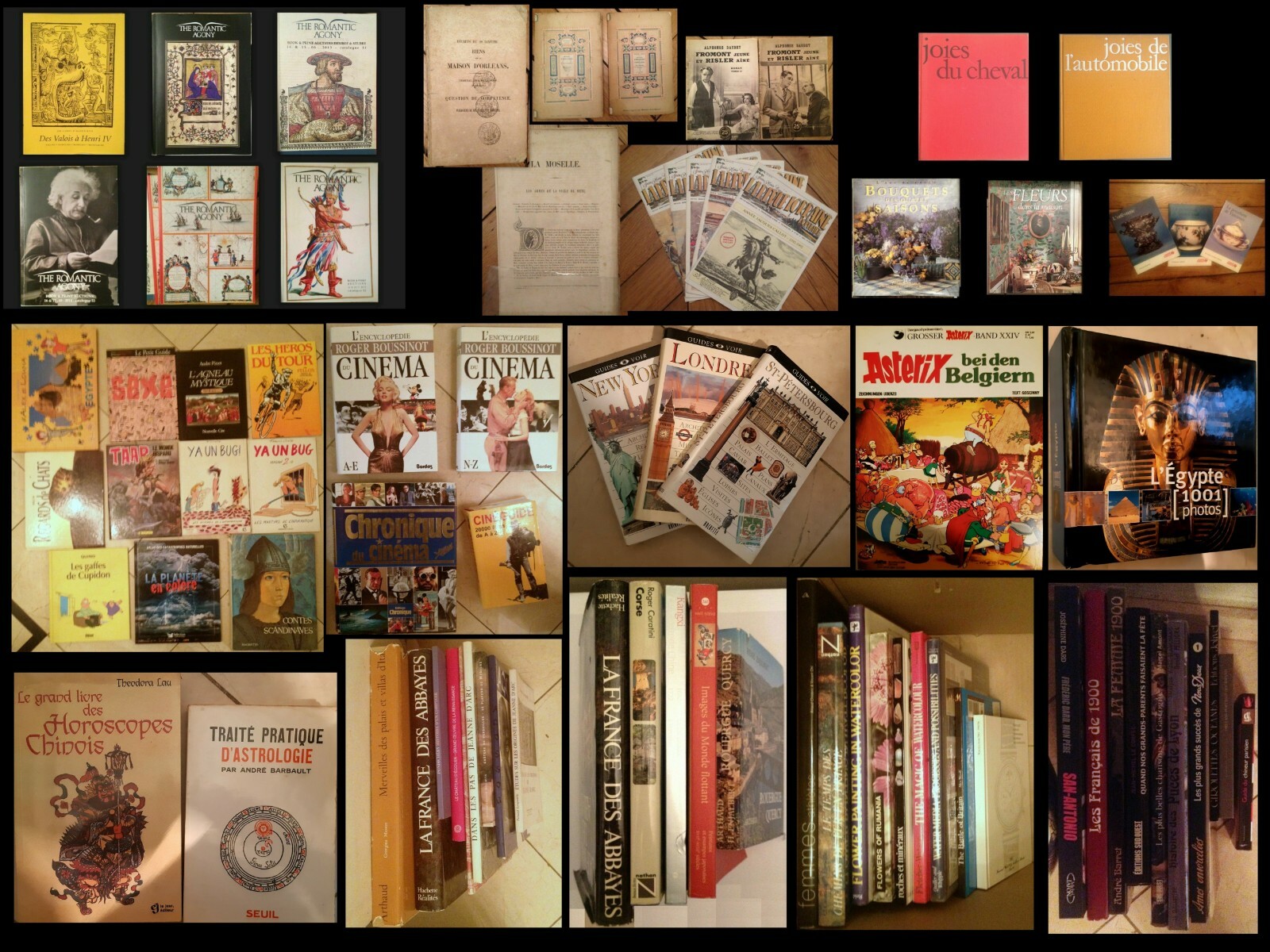 IMPORTANT LOT DE LIVRES (plus de 80 unités): ART ET DIVERS IMPORTANT LOT DE LIVRES (plus de 80 unités): ART ET DIVERS