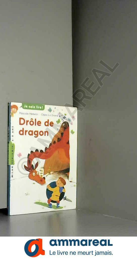 Drôle de dragon Drôle de dragon