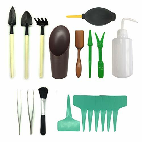 Pietypet – Lot de 21 mini outils de jardin – Pour transplantation de plantes suc