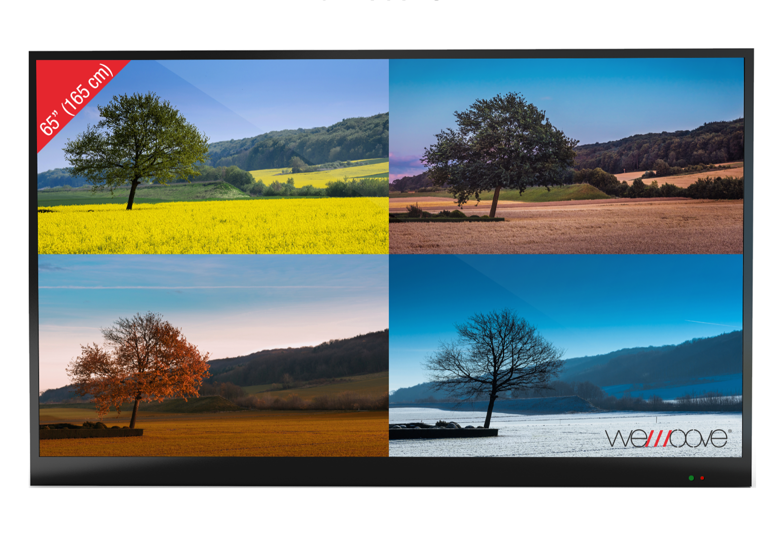 SMART TV Extérieur VIVALDI 65’’ étanche Haute luminosité – WEMOOVE