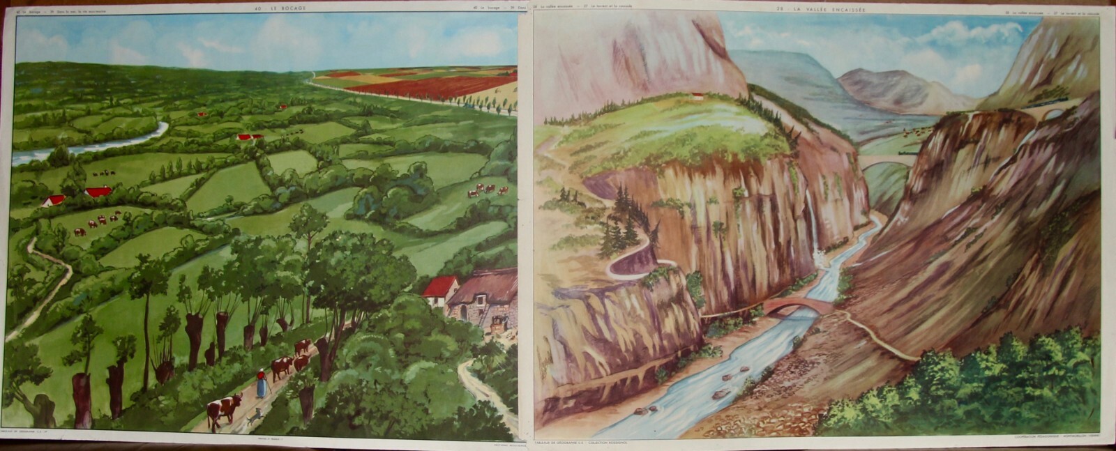 lot de 2 affiches scolaires Rossignol le torrent le confluent lot de 2 affiches scolaires Rossignol le torrent le confluent