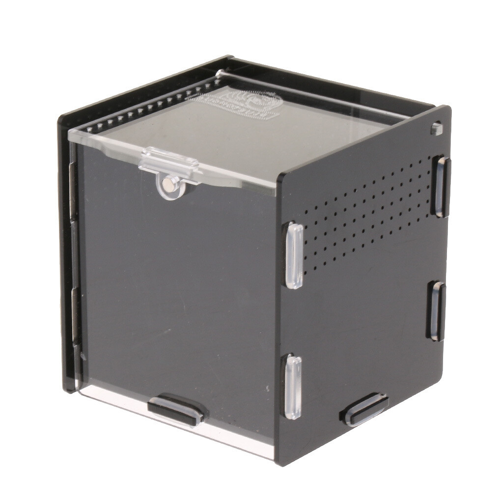 Reptile Tank Araignées Turtle Lizard Boîte d’élevage acrylique Vivarium Noir Reptile Tank Araignées Turtle Lizard Boîte d’élevage acrylique Vivarium Noir