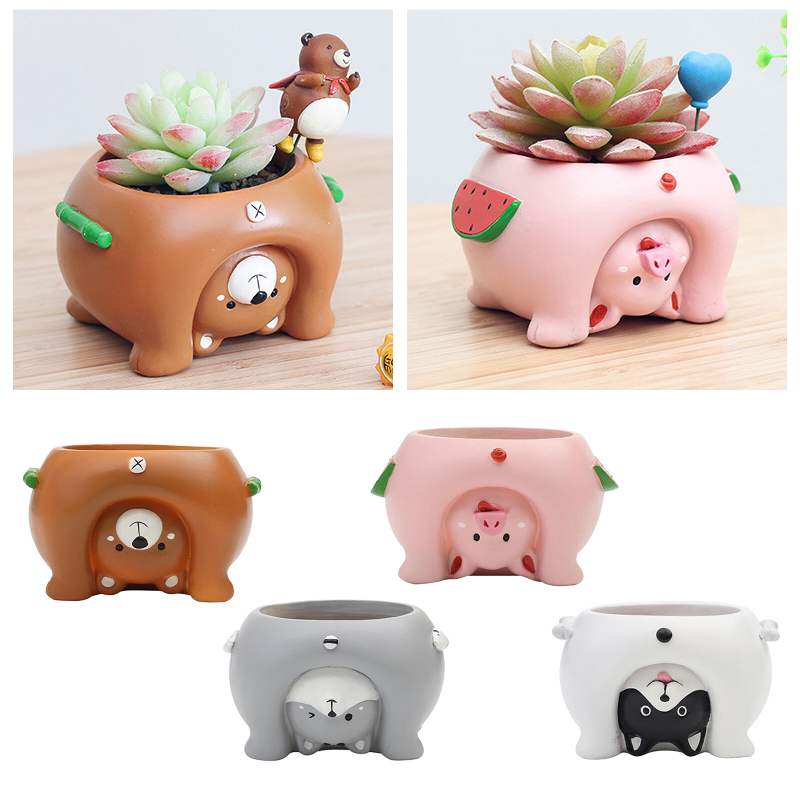 Mignon Succulent Cactus Pots pour Anniversaire De Mariage Accueil Bureau De Mignon Succulent Cactus Pots pour Anniversaire De Mariage Accueil Bureau De