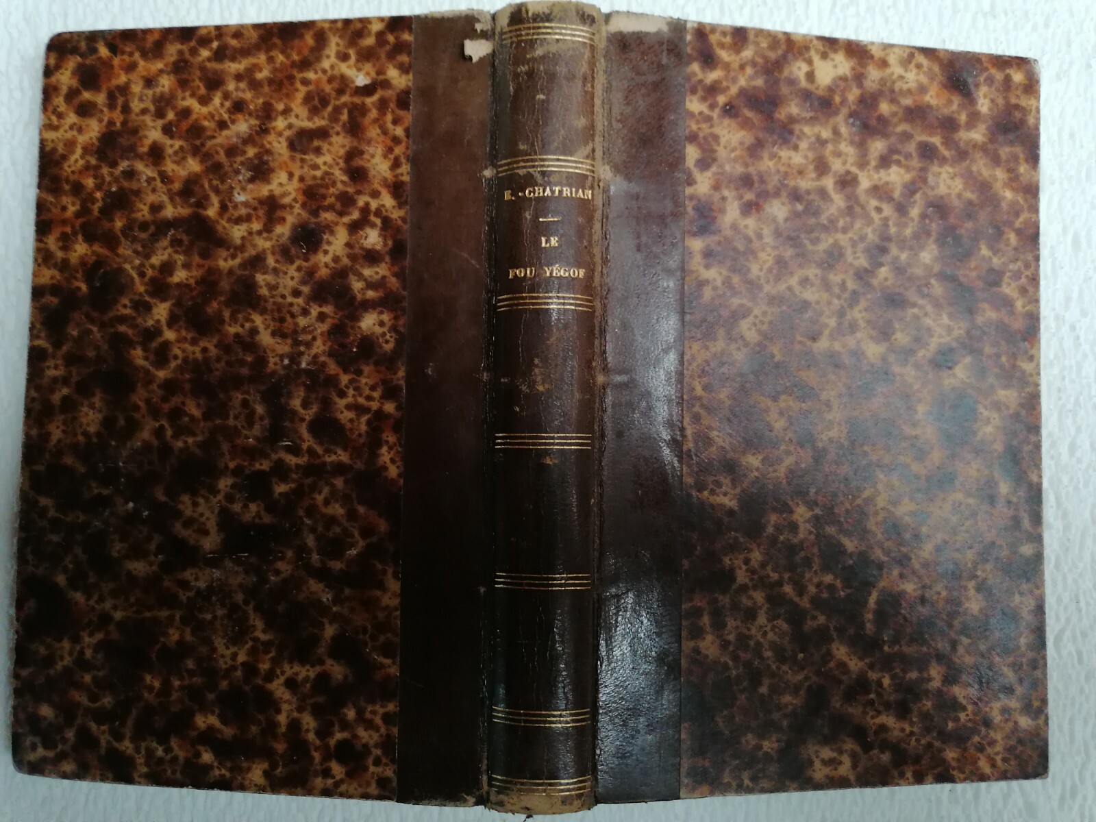 livres61190/l’Invasion/Le Fou Yegof/Vosges/Les Charmes/Falkenstein/Hetzel livres61190/l’Invasion/Le Fou Yegof/Vosges/Les Charmes/Falkenstein/Hetzel