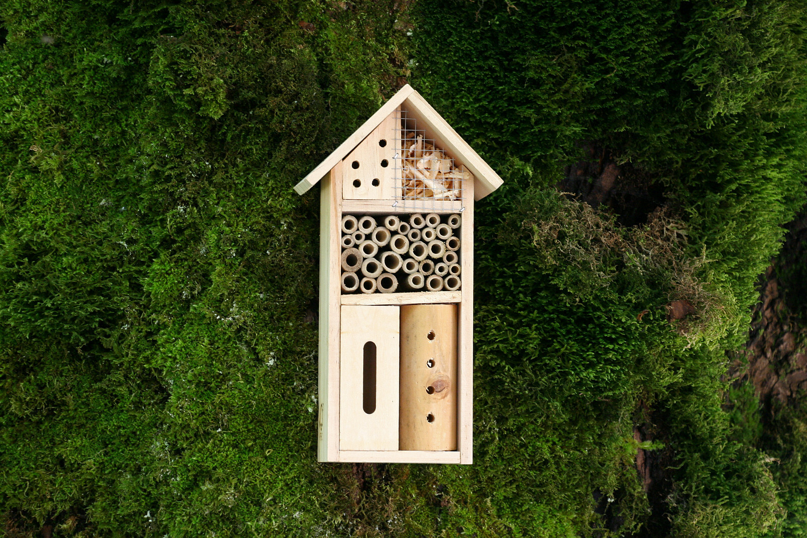 Hotel a insectes En Bois naturel et labellisé fsc Hotel a insectes En Bois naturel et labellisé fsc