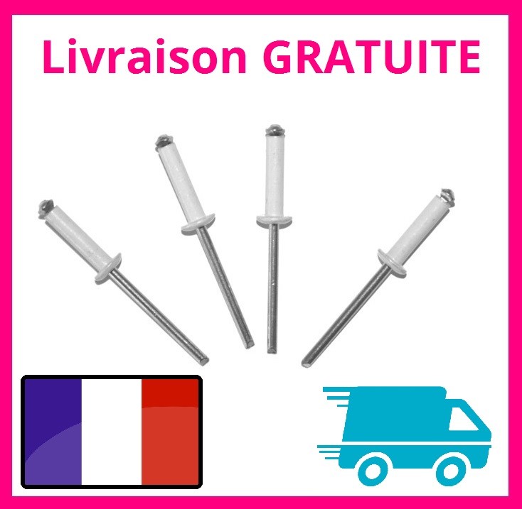 Lot de 4 rivets blancs pour plaque d’immatriculation, Auto, Moto, Scooter Lot de 4 rivets blancs pour plaque d’immatriculation, Auto, Moto, Scooter
