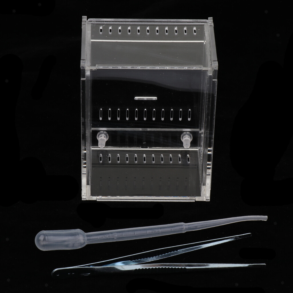 1x Boîte de Tortue de Trou Respirable en Acrylique Transparent pour Araignées, 1x Boîte de Tortue de Trou Respirable en Acrylique Transparent pour Araignées,