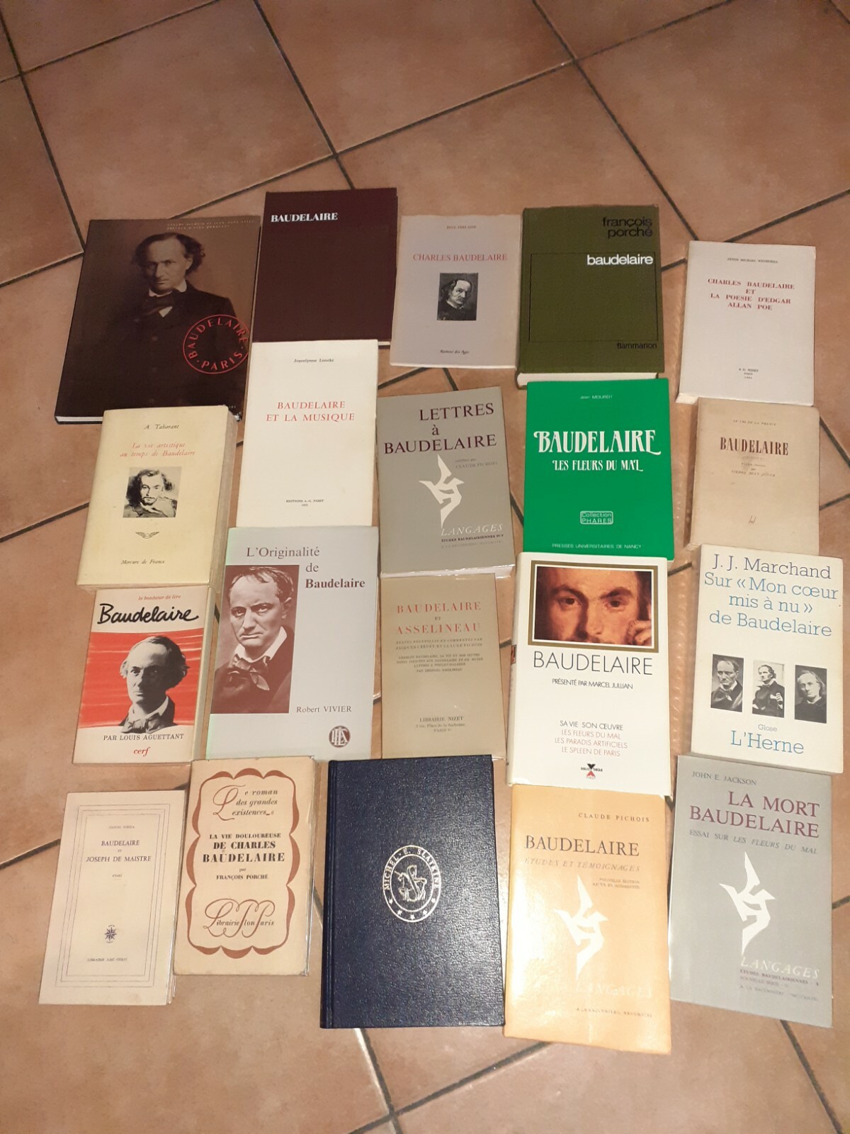 Lot 20 livres sur Baudelaire