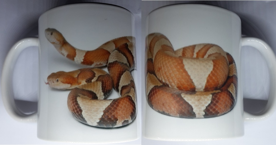 Copperhead Snake Mug Reptiles Copperhead Snake Mug Reptiles