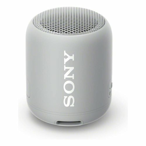 Haut-Parleurs sans Fil Sony SRSXB12H 0760913