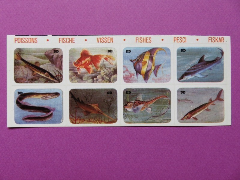 113 – Ancienne planche autocollants/stickers – Poissons – Traduction 6 langues 113 – Ancienne planche autocollants/stickers – Poissons – Traduction 6 langues