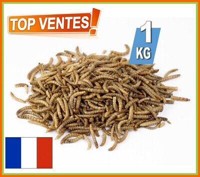 VERS DE FARINE HERMETIA ILLUCENS POISSONS,POULES,OISEAUX,RONGEURS 1 KG A22726 VERS DE FARINE HERMETIA ILLUCENS POISSONS,POULES,OISEAUX,RONGEURS 1 KG A22726