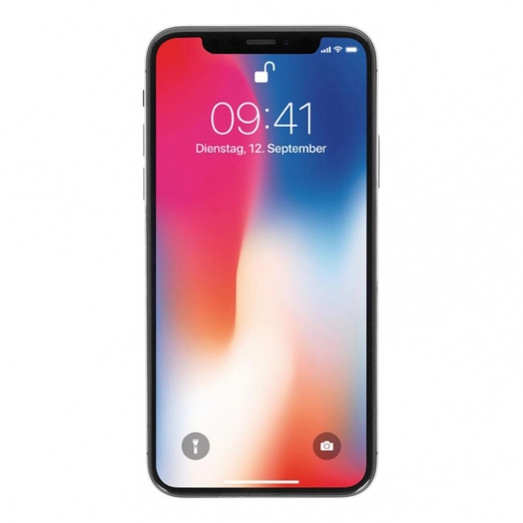 Apple iPhone X 64Go gris sidéral (Très Bon État)