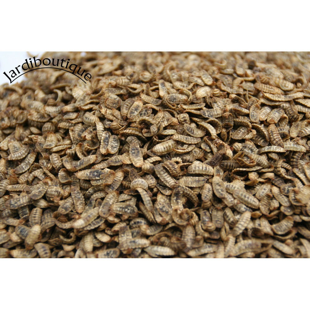 400 gr Larves entières déshydratées d’insecte (mouche soldat) complément aliment 400 gr Larves entières déshydratées d’insecte (mouche soldat) complément aliment