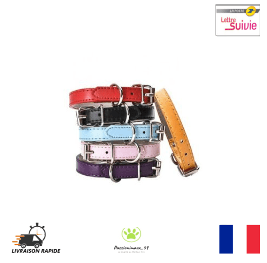 Collier Pour Chien Chiot Chat Cuir PU Réglable XXS XS S M L Neuf FR Collier Pour Chien Chiot Chat Cuir PU Réglable XXS XS S M L Neuf FR