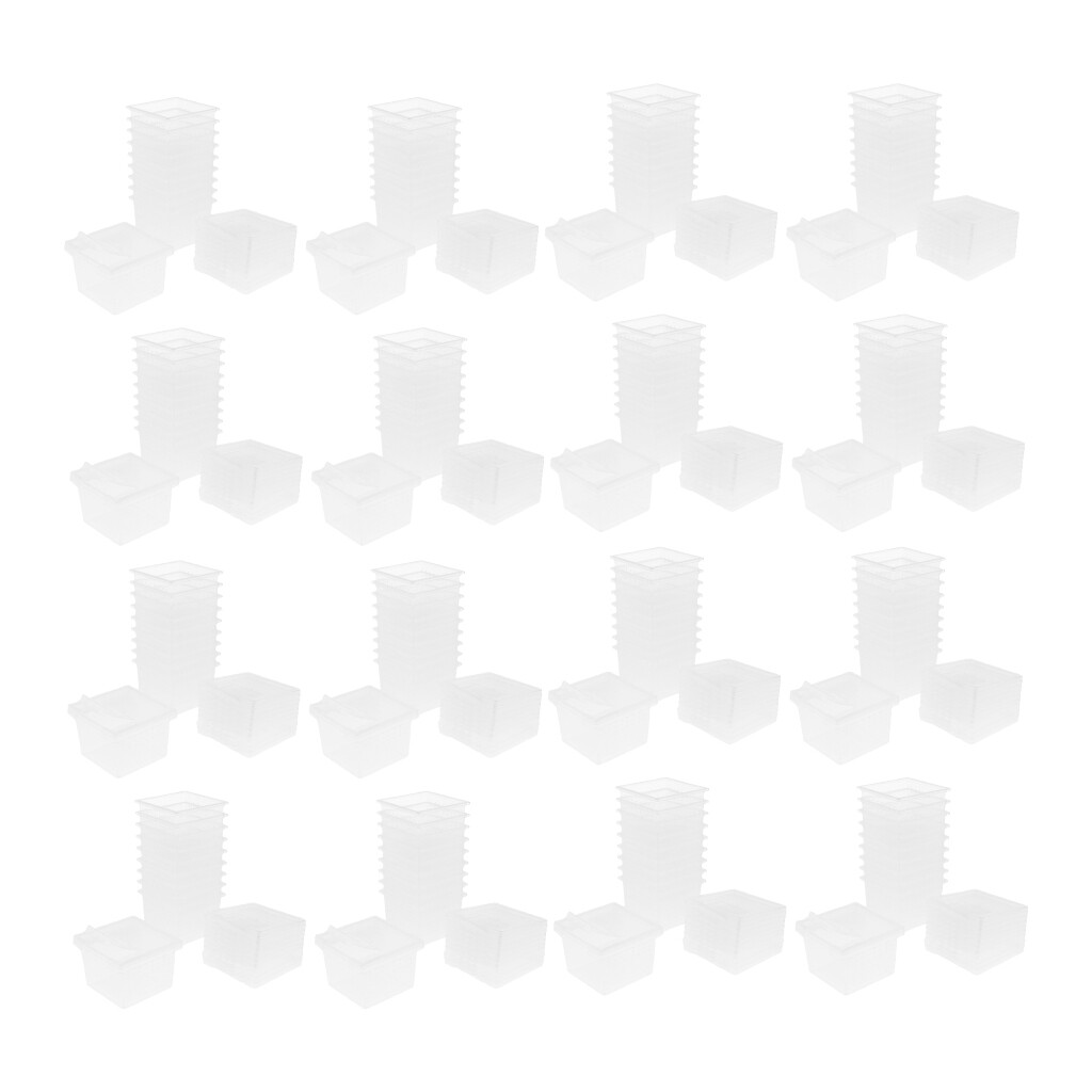 Lot de 160 cages de contenants de boîtes d’élevage de lézards araignées Lot de 160 cages de contenants de boîtes d’élevage de lézards araignées